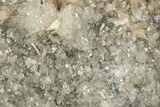 Stilbite Crystals and Micro Apophyllite on Heulandite - India #348345-1